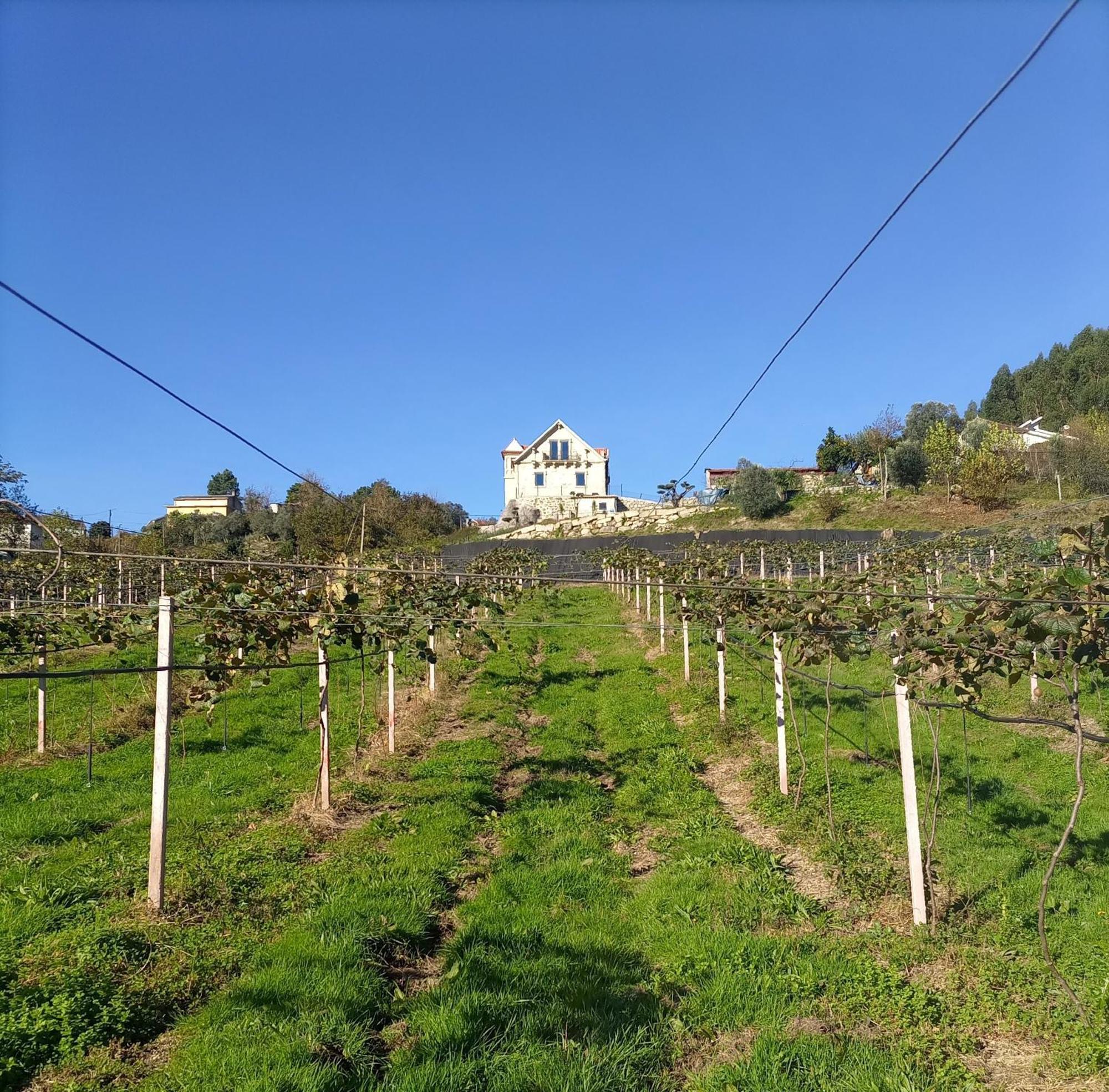Villa Quinta Do Bairro Vieira do Minho Esterno foto
