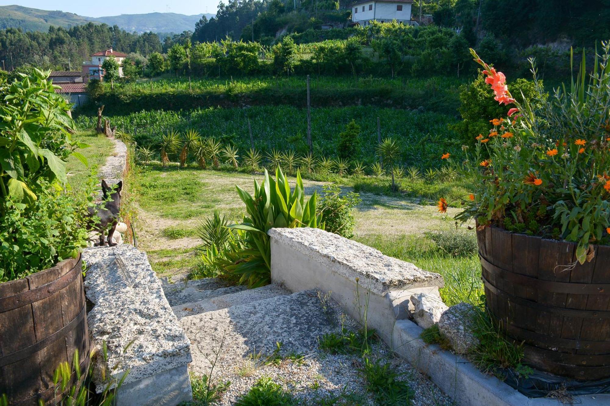 Villa Quinta Do Bairro Vieira do Minho Esterno foto